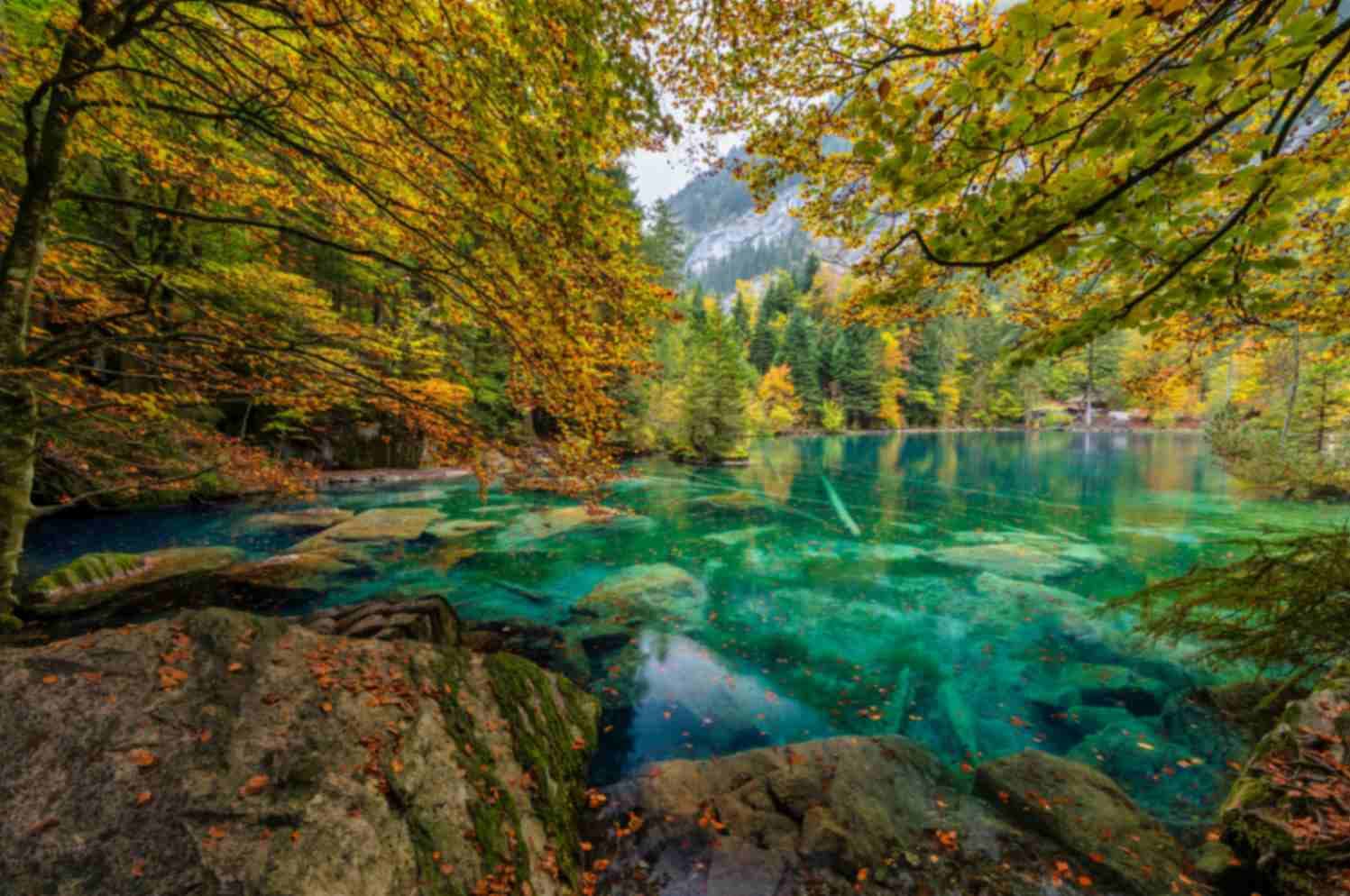 Blausee Alpine Lake