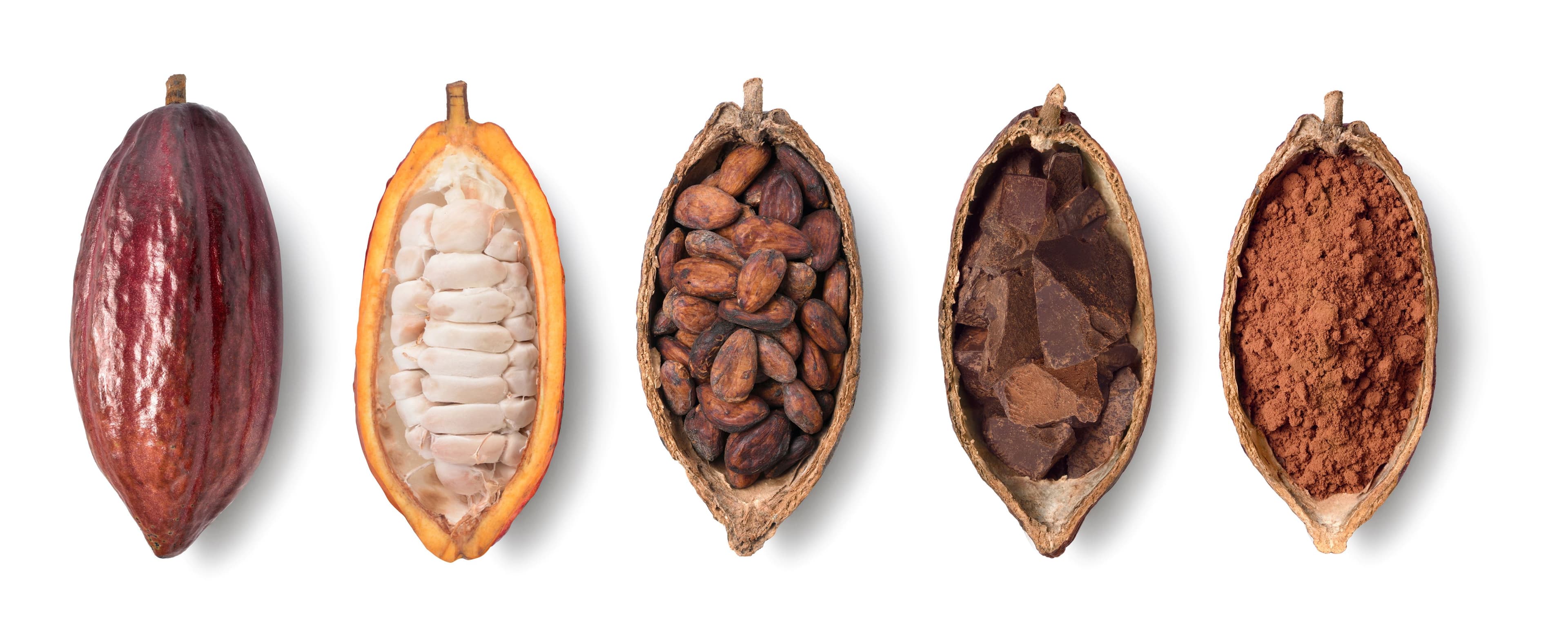 Cacoa Beans Process