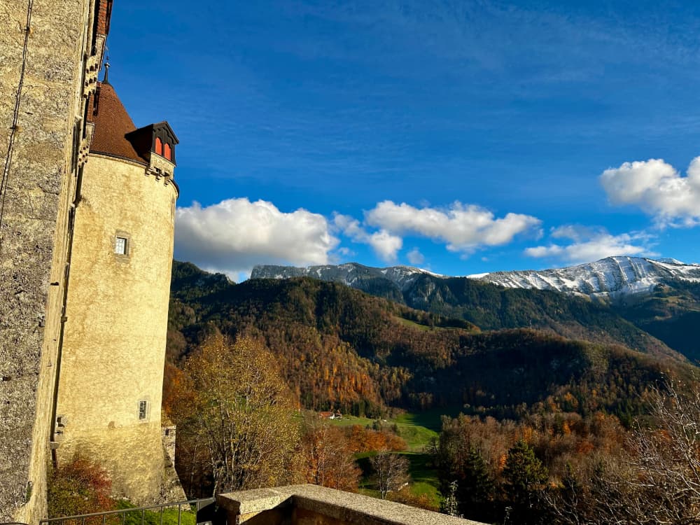 Château Gruyères and Mountains