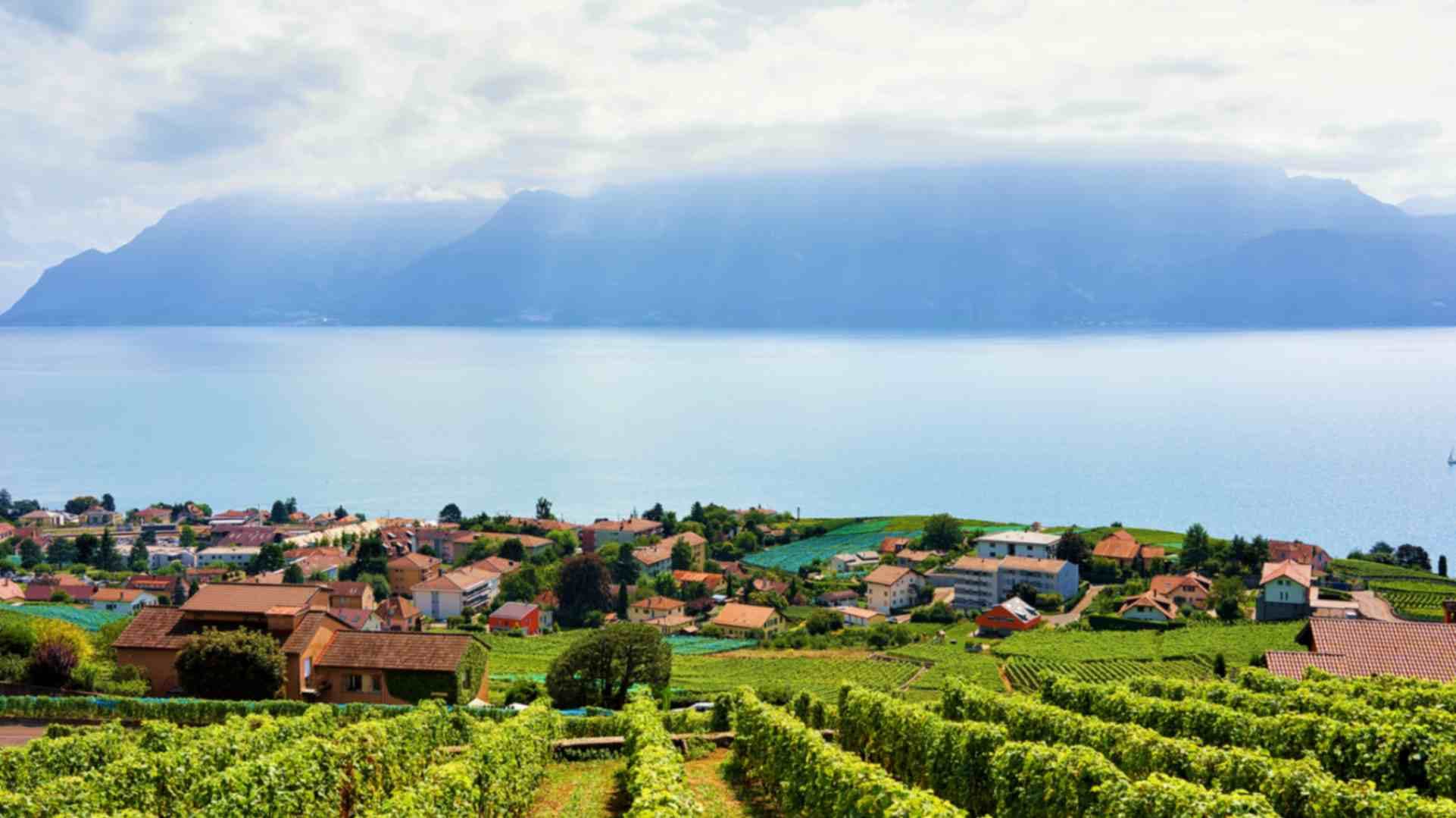 Campagne du vignoble de Lavaux