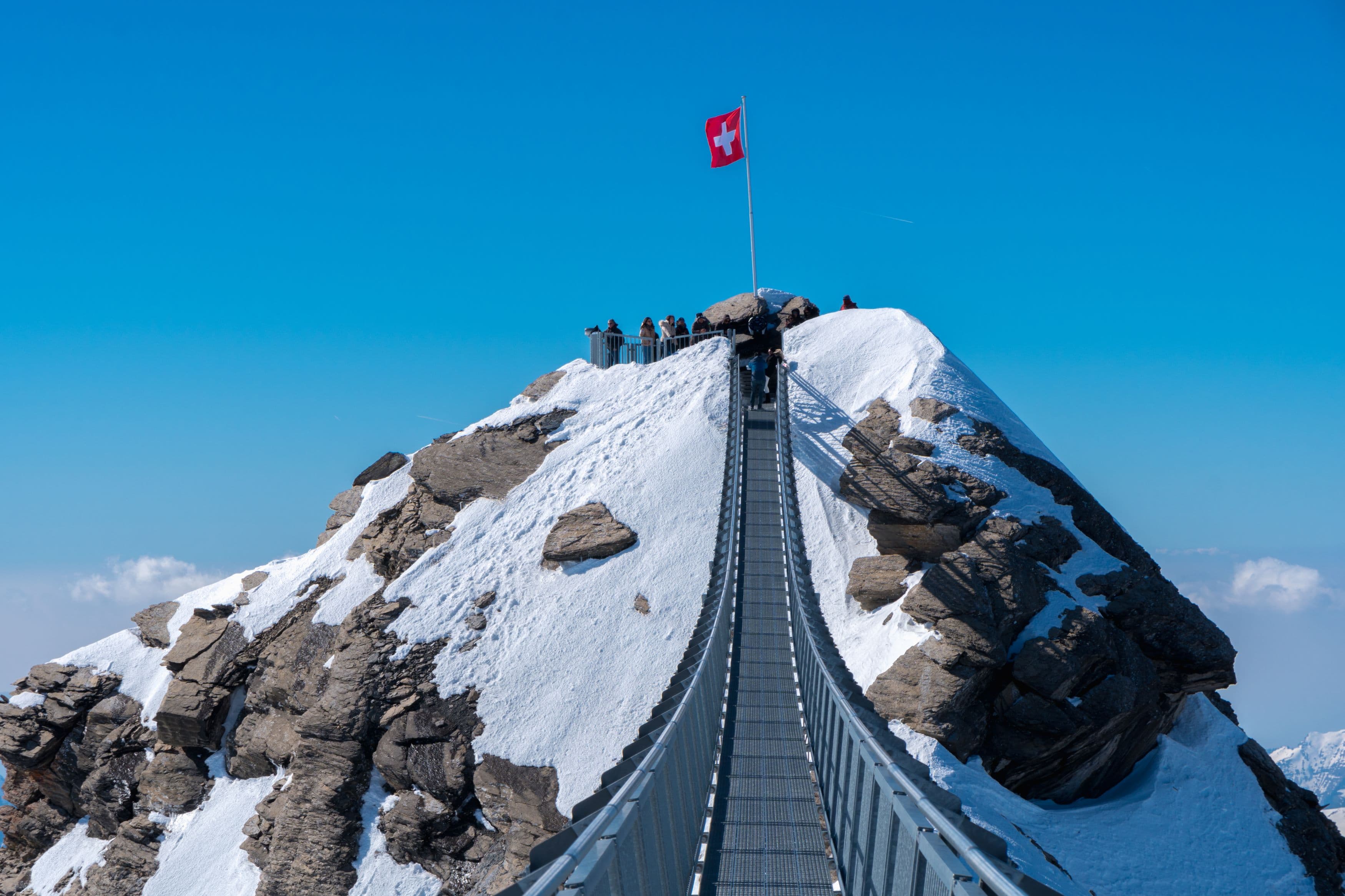 Glacier Park Suspension Bridge