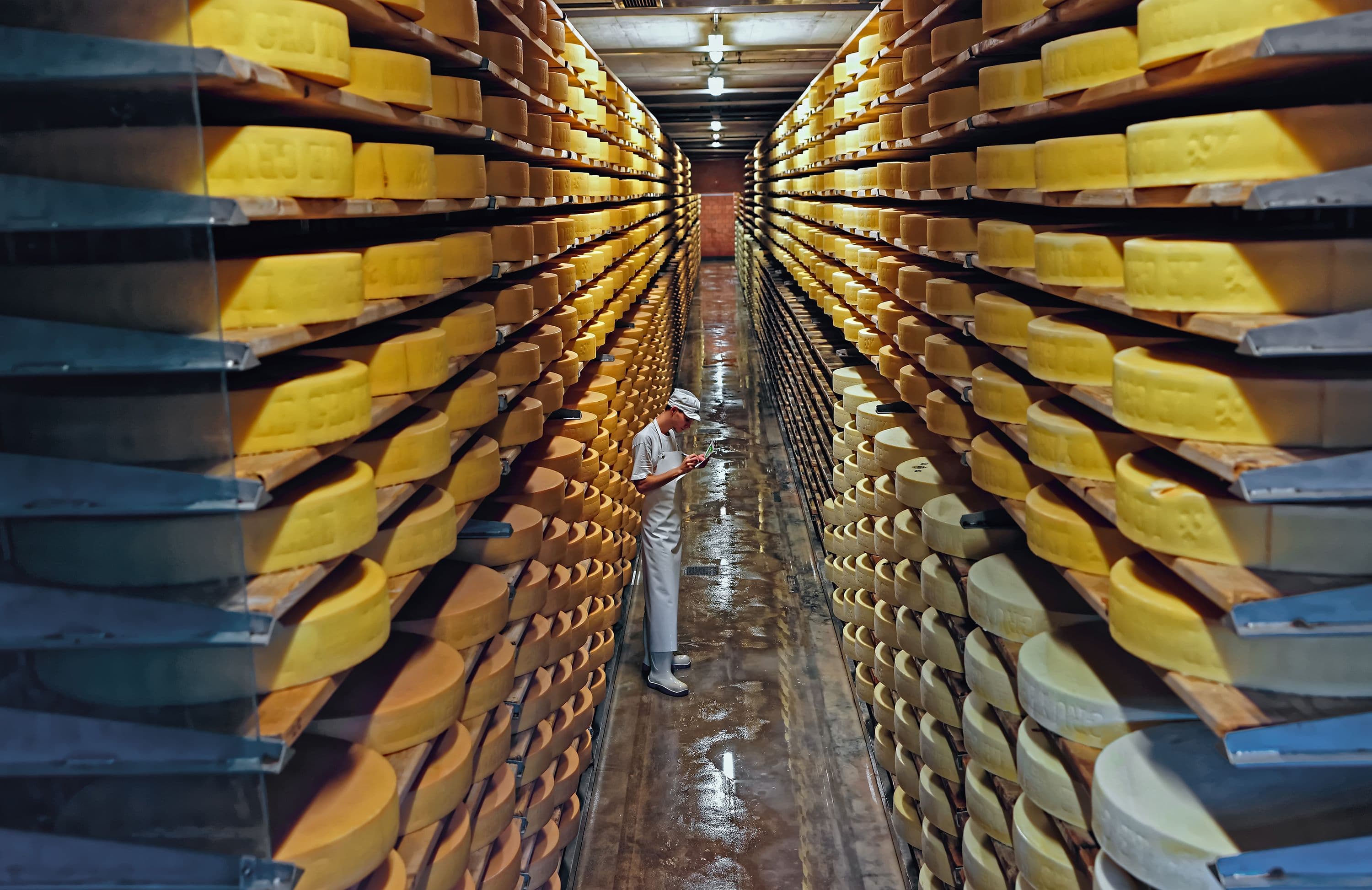 Gruyère Cheese Cellar