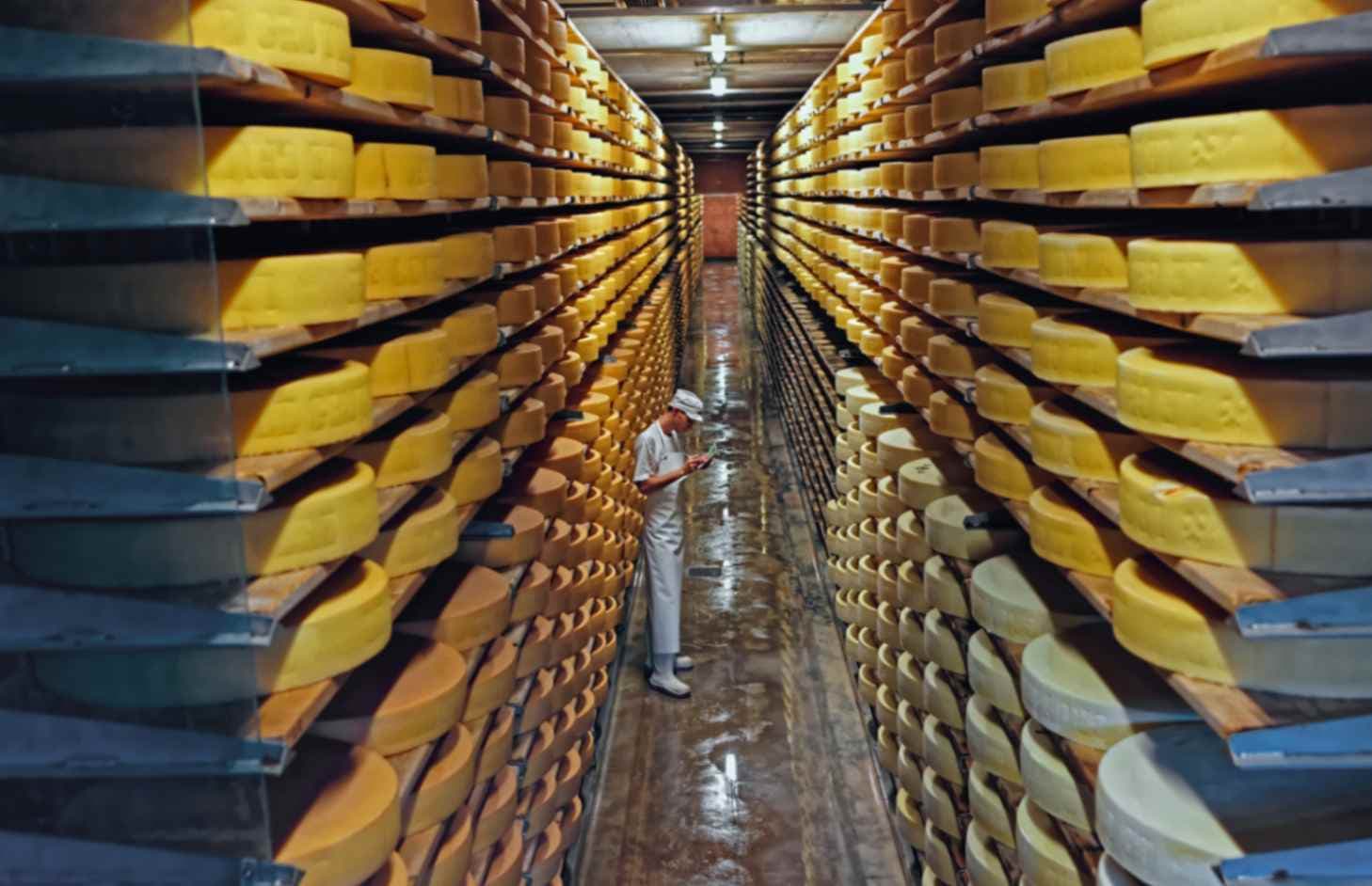 Sala de maduración del queso Gruyère
