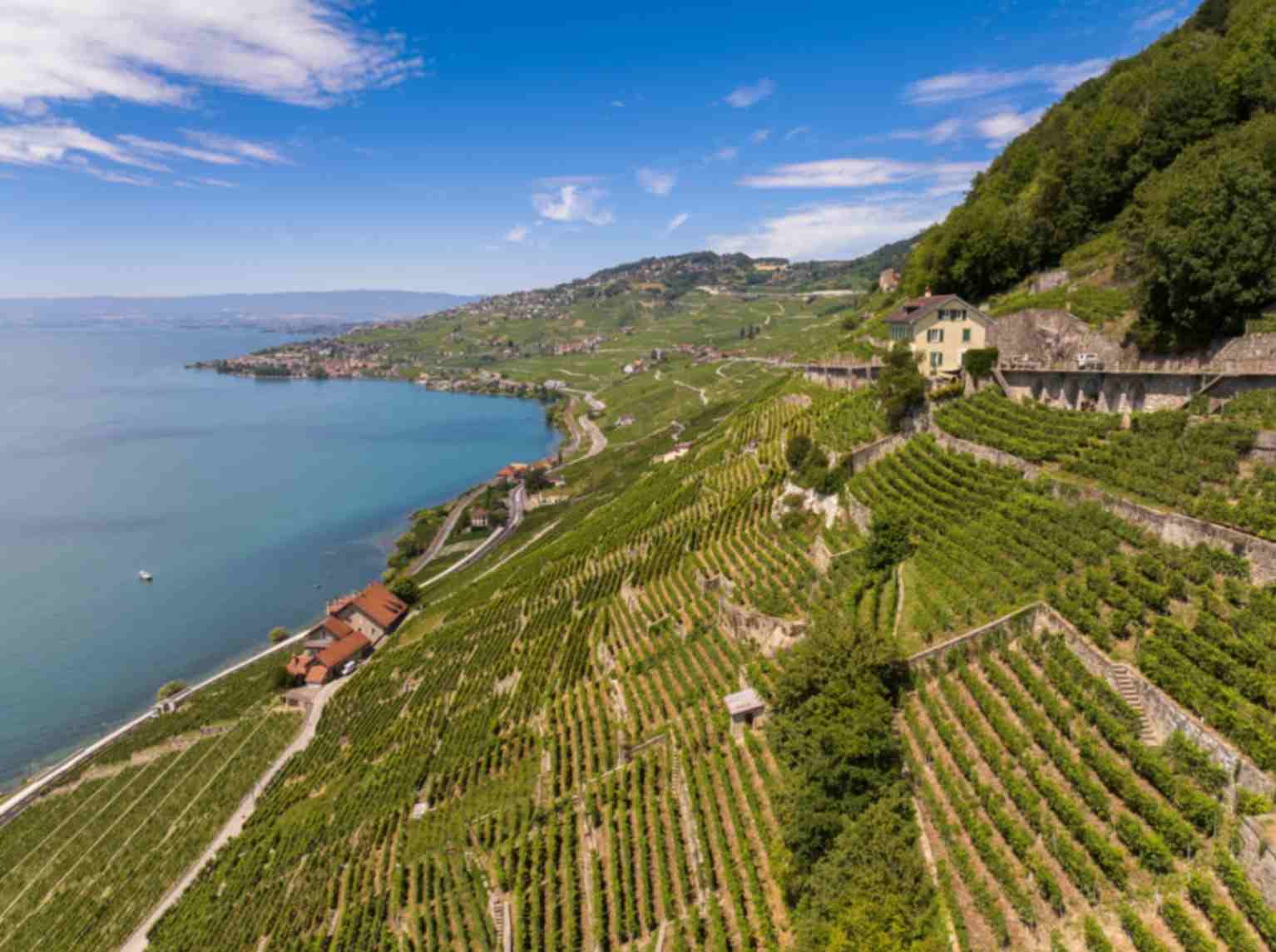 Terrazze viticole di Lavaux (UNESCO)