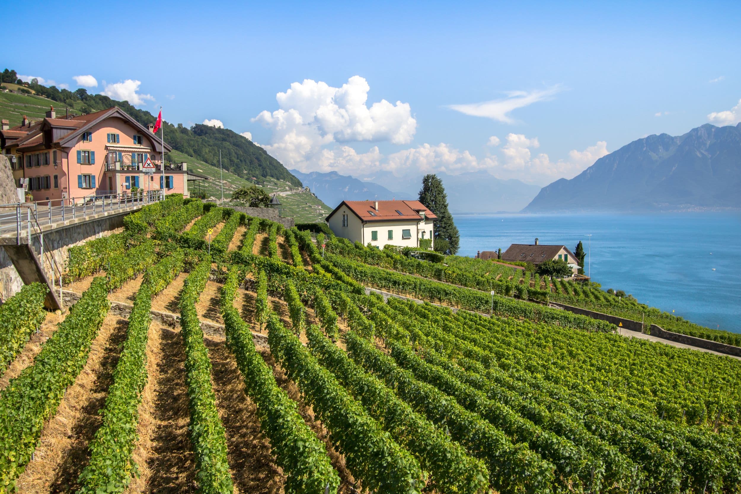 Bern UNESCO, Lavaux Vineyards & Montreux Experience