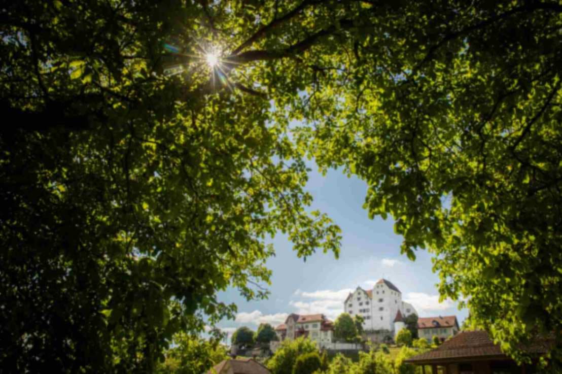 Castello di Lenzburg