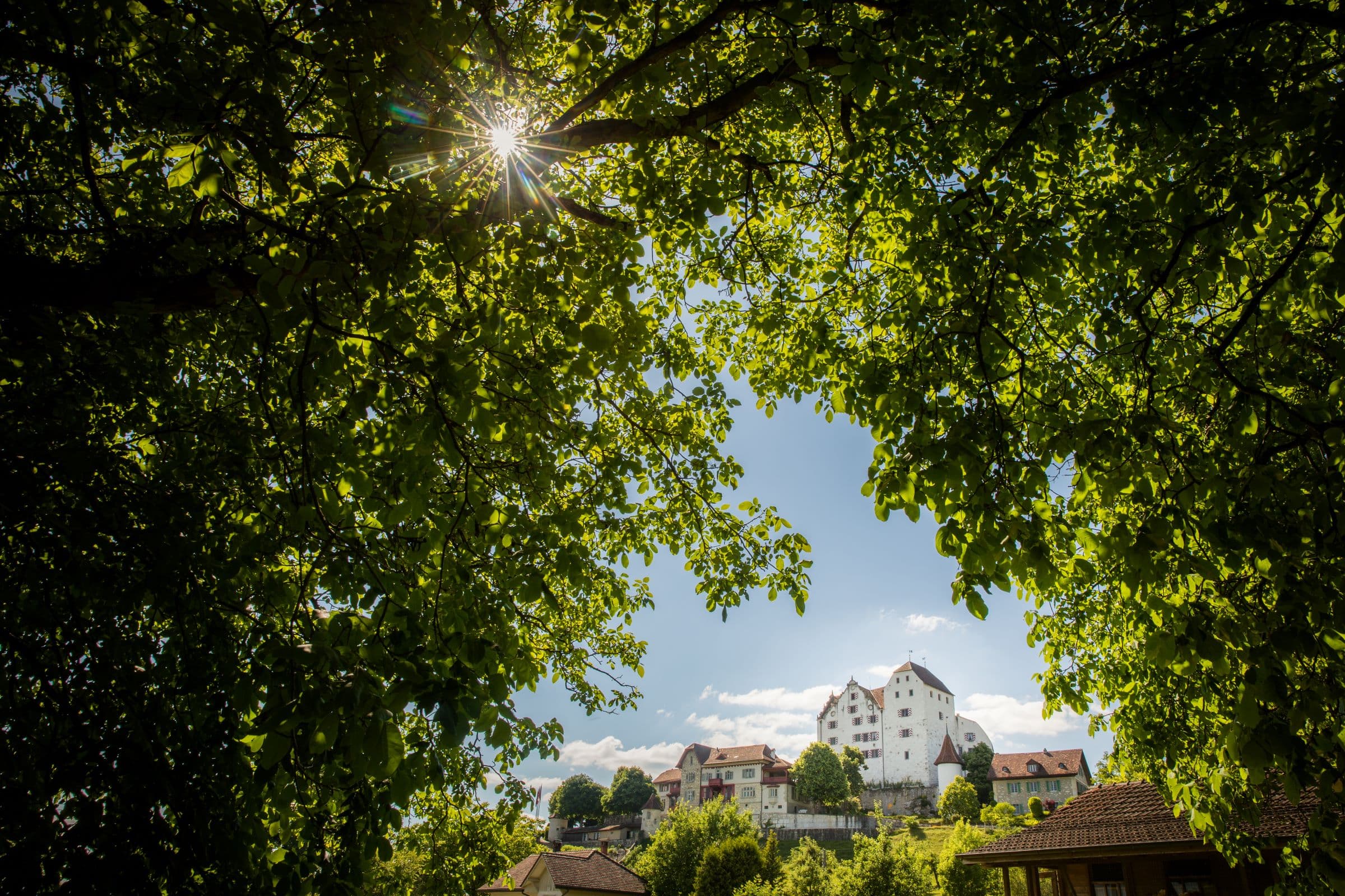 Lenzburg Castle