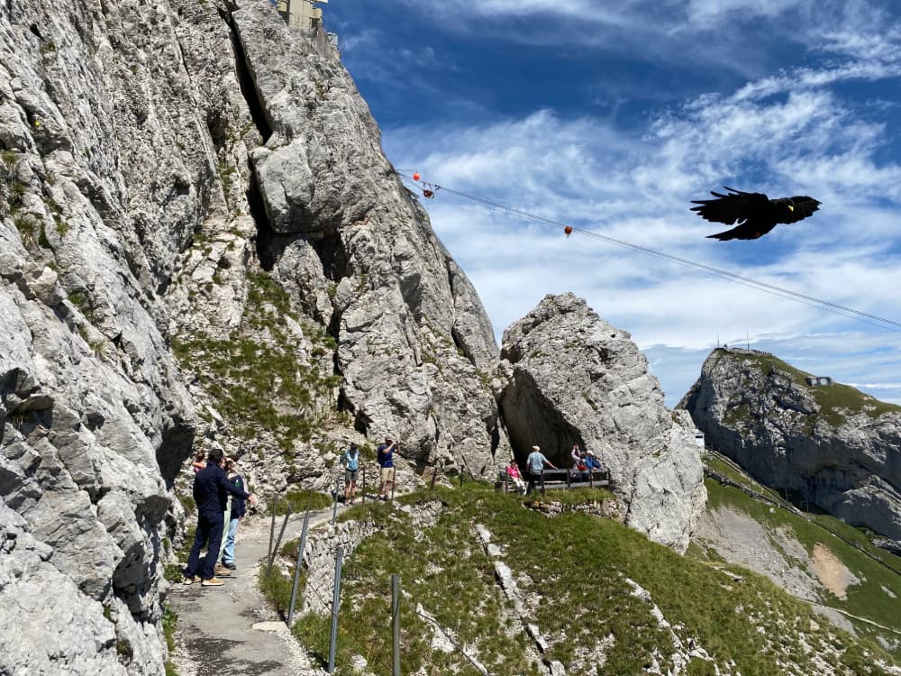 Mt. Pilatus Hiking Trail