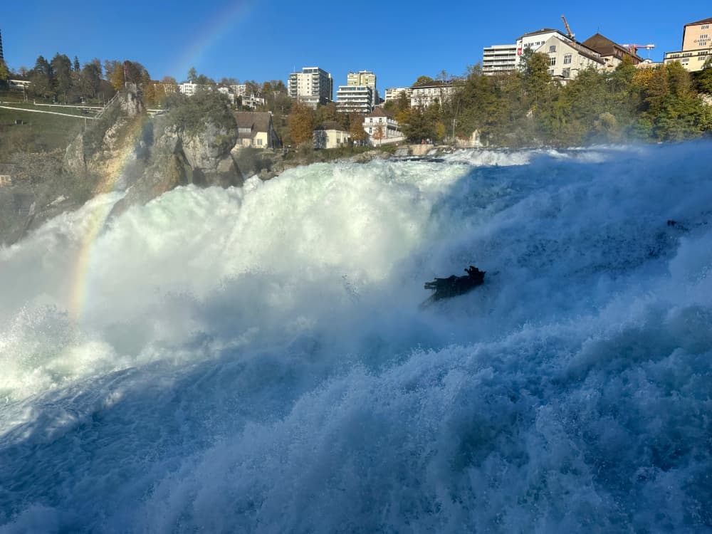 Rhinefalls River Close Up