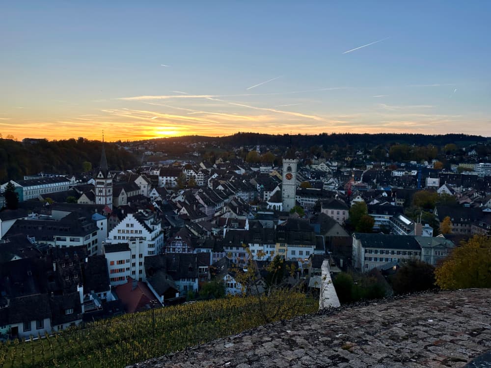 Schaffhausen City Skyline