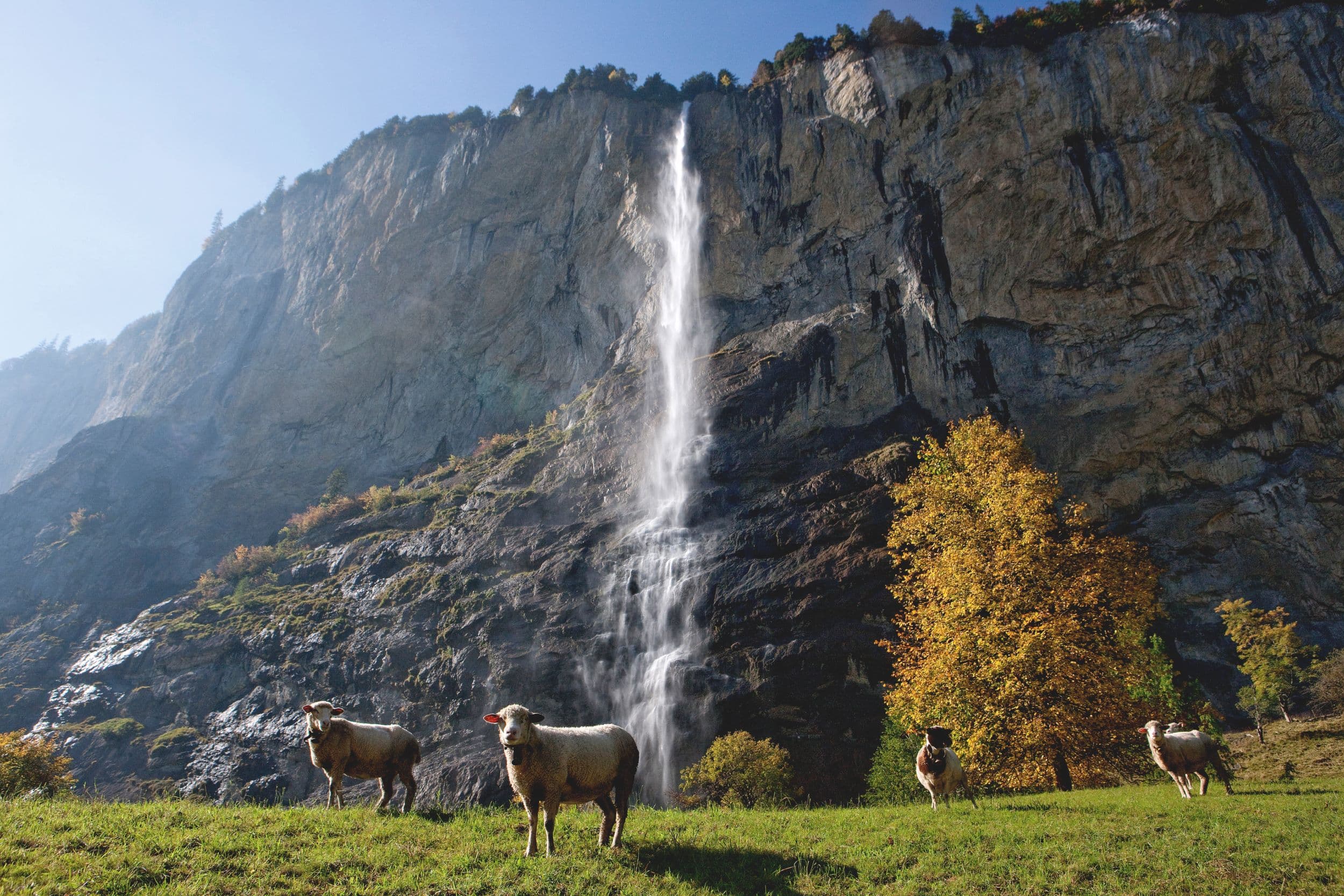 Staubbach Falls surrounded by autumn colours in Lauterbrunnen, Switzerland