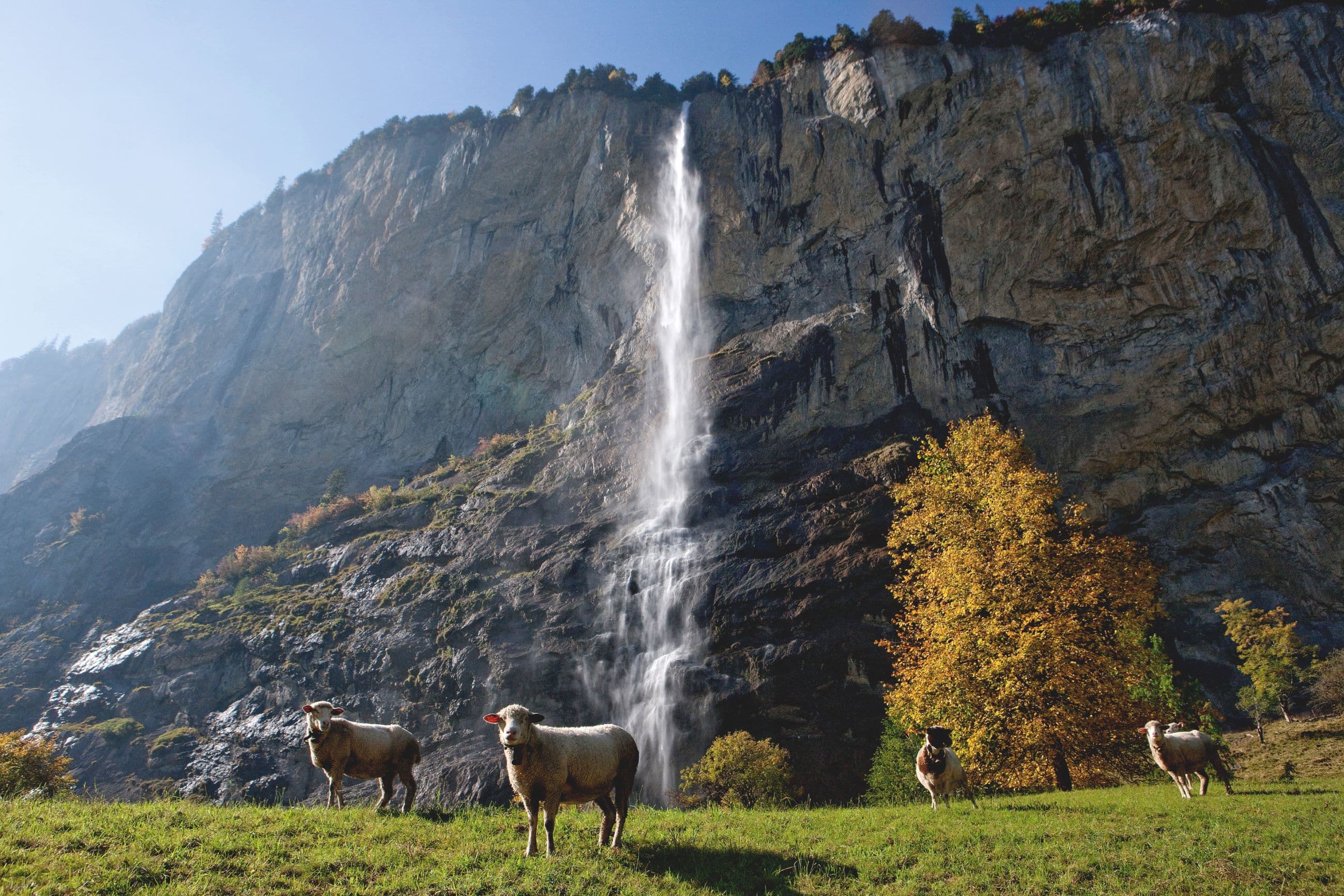 Staubbach Falls 