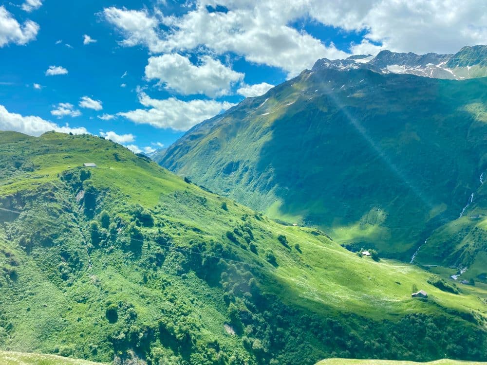 Summer Meadows Glacier Express