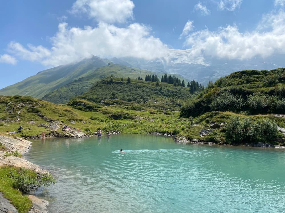 Tübsee Summer