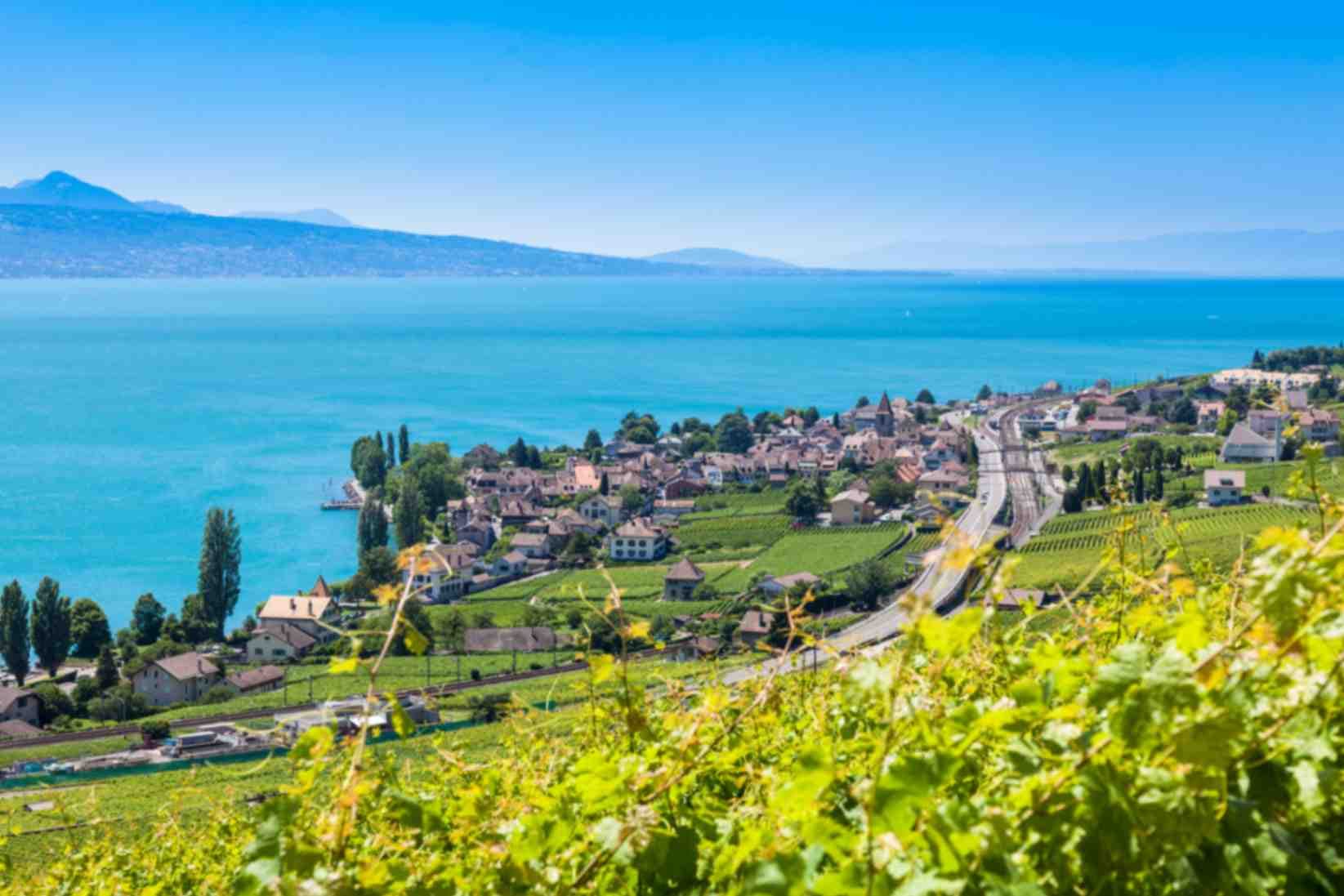 Vignobles de la région de Lavaux