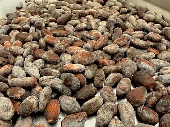 chocolate beans