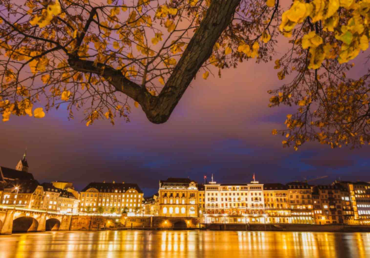 Basel by Night Highlights Tour